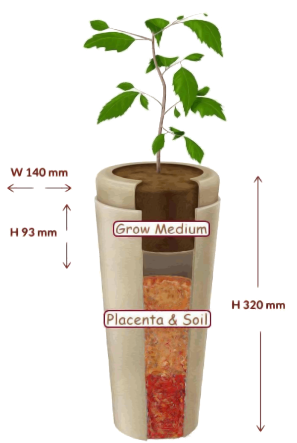 Bios Urn - Image 3